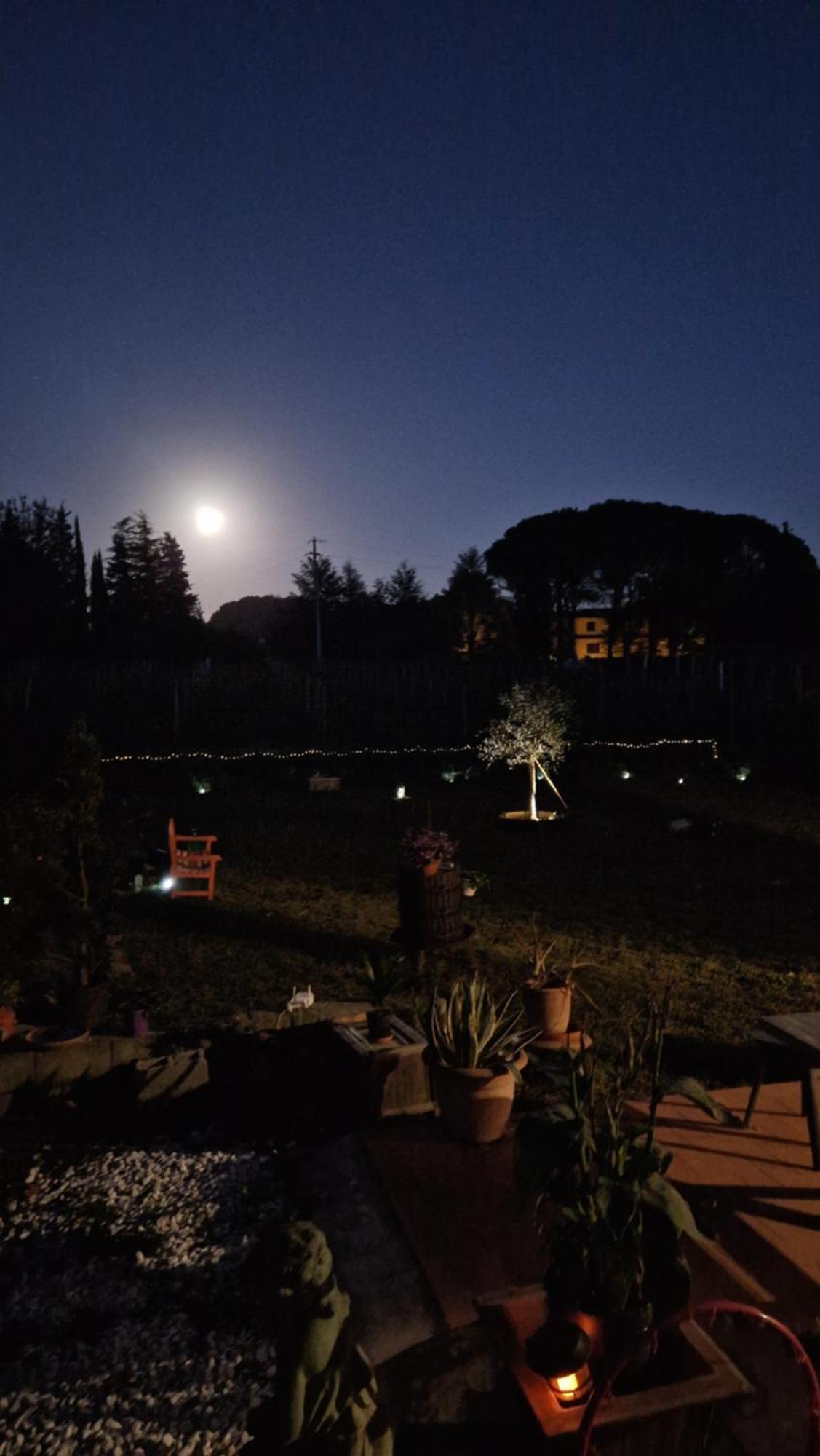 La Casa Nella Vigna Colline Del Vino Daire Capannori Dış mekan fotoğraf