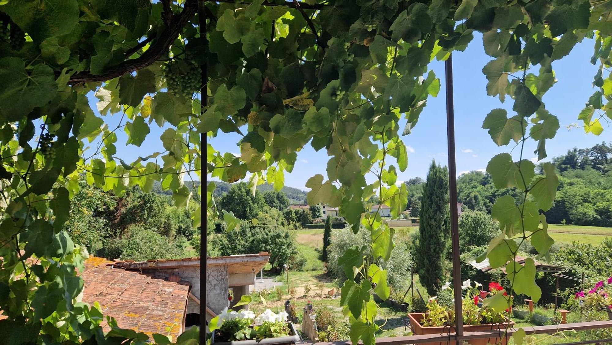 La Casa Nella Vigna Colline Del Vino Daire Capannori Dış mekan fotoğraf